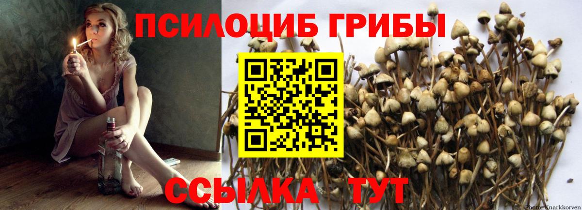 Донецк  Галлюциногенные грибы прущие грибы  Вход с VPN 